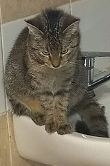 Фотография пользователя zbyszektuzimek1228