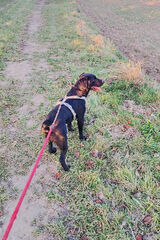 Foto pengguna akowal91