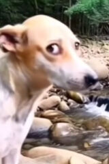 Фотография пользователя DDAMIAN79