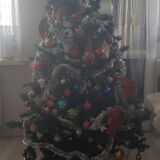 Photos AnitaPrzytula