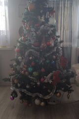 Фотография пользователя AnitaHaha