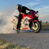 Benutzerfoto lukasz9511