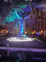 Fotos andreyko6552523