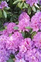 Фотография пользователя kiler11