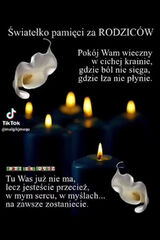 Zdjęcie użytkownika dragon1992a