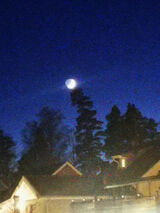 Foto pengguna Readyornot