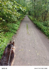 Foto pengguna Dominik0701