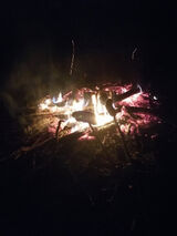 Foto pengguna Bengx3