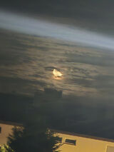 Foto pengguna Maly1195