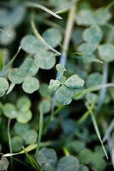 Benutzerfoto Kamilek1785