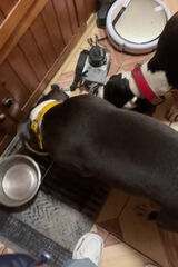 Benutzerfoto Wiksaangel