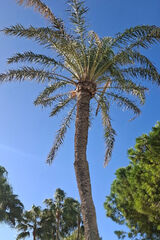 Zdjęcie użytkownika Kuptonixxxx