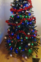 Фото користувача przemyslawszewera