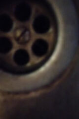 Фотография пользователя Pinicjusz