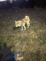 Foto pengguna Tygrys20ja