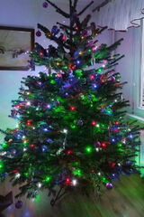 Benutzerfoto Dawidkka