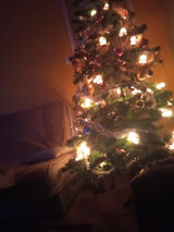 Zdjęcie użytkownika Morski1982ON