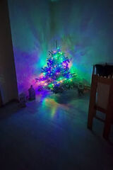 Zdjęcie użytkownika pajonkkrzysztof58