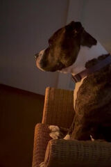 Фотография пользователя Przemek0444