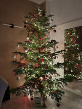 Фотография пользователя GucciMen23