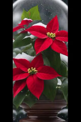 Фотография пользователя robex82