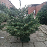 Zdjęcie użytkownika Gruby02