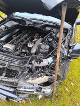 Benutzerfoto kamilsobol7