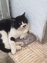 Foto pengguna RudzinskiPi