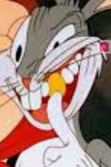 Фотография пользователя gabrysia557onetp75