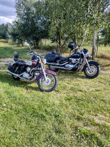 Foto utilizatorului jendaniel046