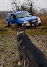 Zdjęcie użytkownika elstachykwas