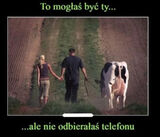 Фотография пользователя kaczmarz12