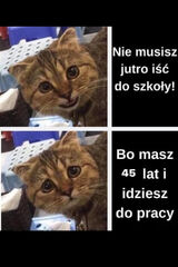 Fotka uživatele AndrzejAdamczyk130