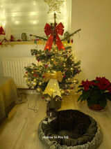 Benutzerfoto Pioooooter