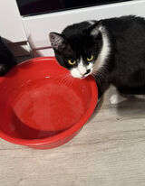 Benutzerfoto zj6dtykf4c