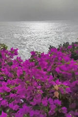 Zdjęcie użytkownika SlawomirST1978