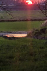 Benutzerfoto kiko23423452002