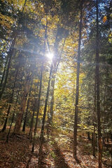 Zdjęcie użytkownika matevsz3