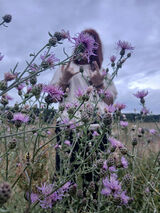 Zdjęcie użytkownika kwiatemi972007