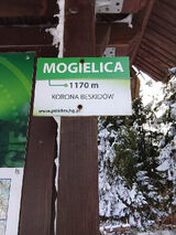 Zdjęcie użytkownika TakiKrzys