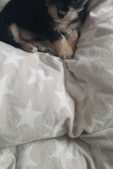 Benutzerfoto sokolowskakaroli76