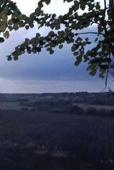 Fotos gluchowskisebast90