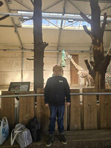 Zdjęcie użytkownika yoz720