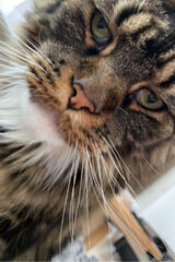 Foto pengguna Maly1979