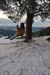 Zdjęcie użytkownika justynaadamiak4112