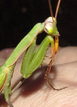 Zdjęcie użytkownika marcin77p