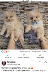 Foto pengguna aleksanderkrol161