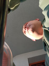 Zdjęcie użytkownika malypawel184