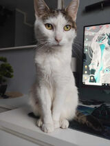 Zdjęcie użytkownika RavenCron