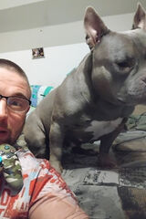 Zdjęcie użytkownika NoNameUser95